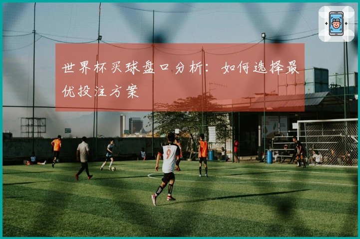 世界杯买球盘口分析：如何选择最优投注方案