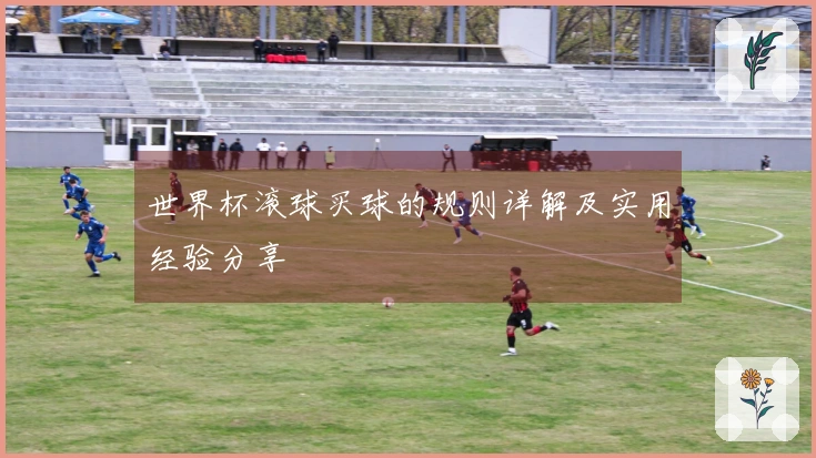 世界杯滚球买球的规则详解及实用经验分享