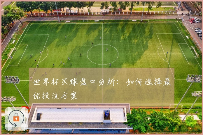 世界杯买球盘口分析：如何选择最优投注方案