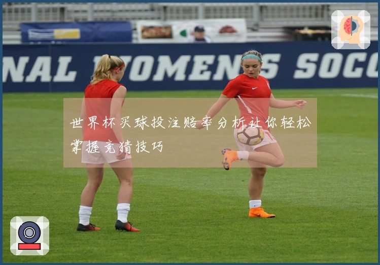 世界杯买球投注赔率分析让你轻松掌握竞猜技巧