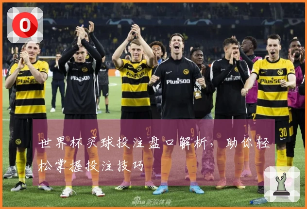 世界杯买球投注盘口解析，助你轻松掌握投注技巧