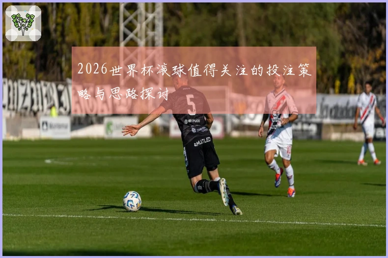 2026世界杯滚球值得关注的投注策略与思路探讨