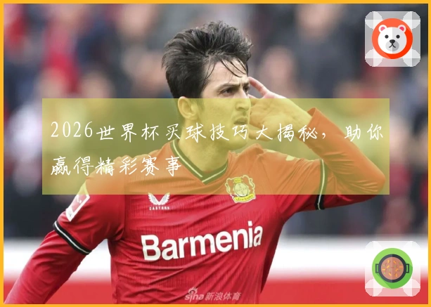2026世界杯买球技巧大揭秘，助你赢得精彩赛事