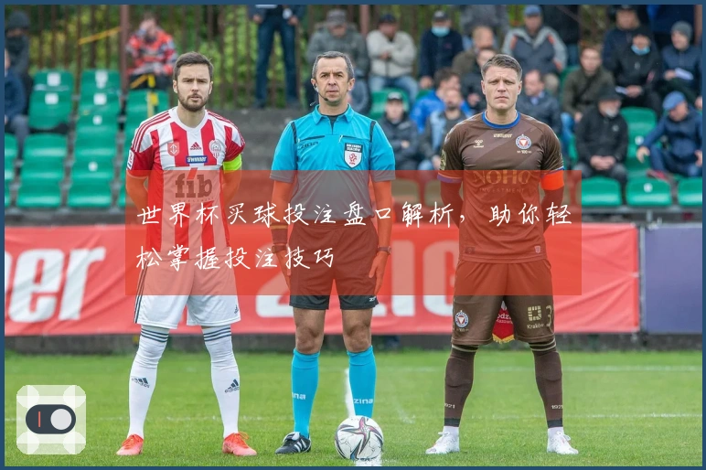 世界杯买球投注盘口解析，助你轻松掌握投注技巧