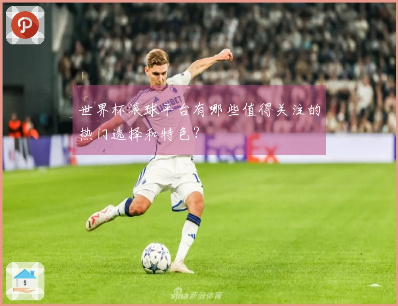 世界杯滚球平台有哪些值得关注的热门选择和特色？