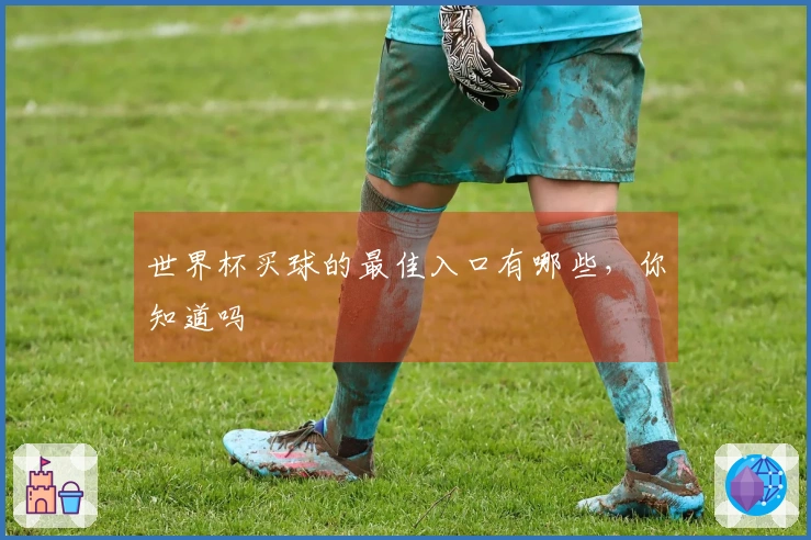 世界杯买球的最佳入口有哪些，你知道吗