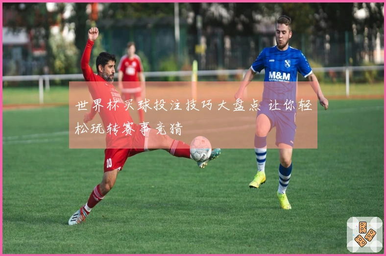 世界杯买球投注技巧大盘点 让你轻松玩转赛事竞猜