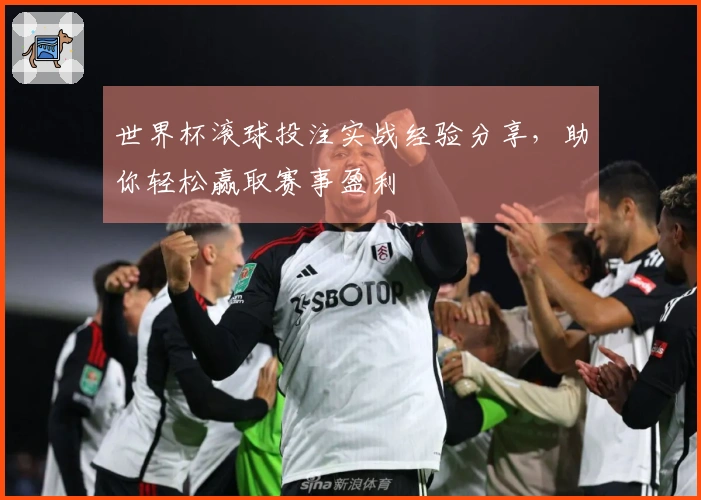 世界杯滚球投注实战经验分享，助你轻松赢取赛事盈利